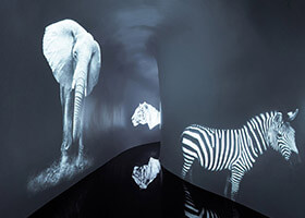 KTV生意不好，看完這七條你就找到原因了！